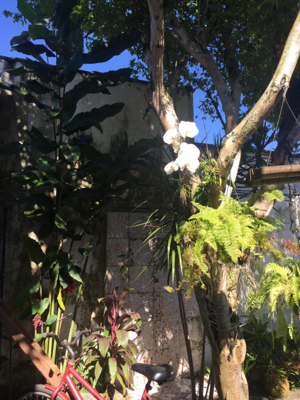 Pousada Jardim Dos Oliveiras Paraty Bagian luar foto